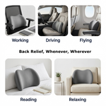 BackEase Lumbar Pillow